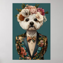 Bichon Frise in pak poster, Bichon Frise