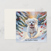 Bichon Frise in Sneeuw Schattigee Hond Winter Kers Feestdagenkaart (Voorkant / Achterkant)