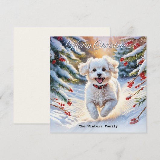 Bichon Frise in Sneeuw Schattigee Hond Winter Kers Feestdagenkaart (Voorkant / Achterkant)