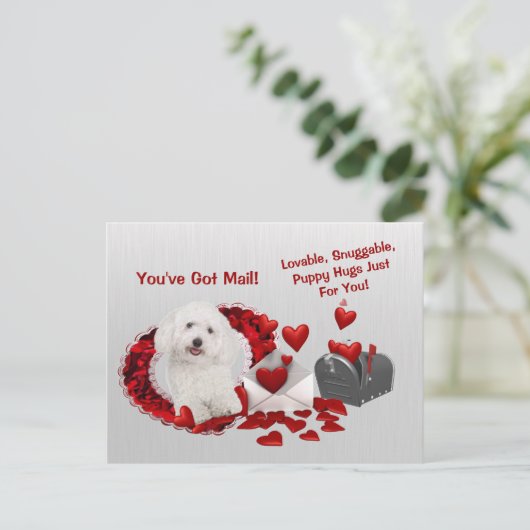 Bichon Frise Je hebt Mail Puppy Knuffels Valentijn Feestdagenkaart (Staand voorkant)