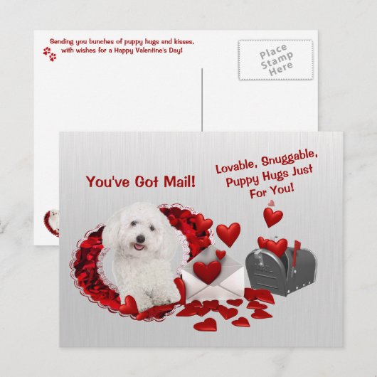 Bichon Frise Je hebt Mail Puppy Knuffels Valentijn Feestdagenkaart (Voorkant / Achterkant)