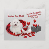 Bichon Frise Je hebt Mail Puppy Knuffels Valentijn Feestdagenkaart (Voorkant)