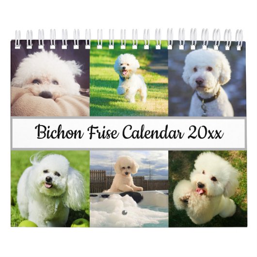 Bichon Frise Kalender (Hoes)