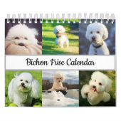 Bichon Frise Kalender (Hoes)