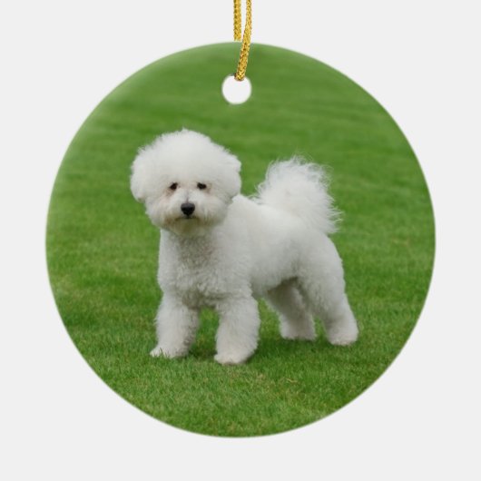 Bichon Frise Keramisch Ornament (Voorkant)