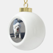 Bichon Frise keramisch sieraad Keramische Bal Ornament (Rechts)