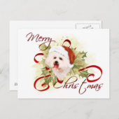 Bichon Frise Kerst Briefkaarten (Voorkant / Achterkant)
