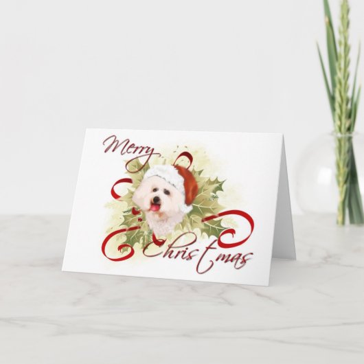 Bichon Frise Kerst Kaarten (Voorkant)