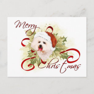 Bichon Frise kerstBriefkaarten Feestdagenkaart