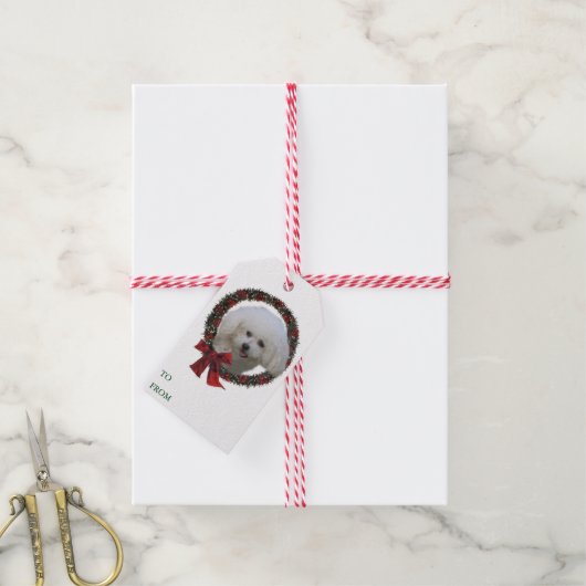 Bichon Frise-kerstcadeautags Cadeaulabel (Met Touw)