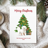 Bichon Frise kerstKaart
