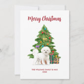 Bichon Frise kerstKaart (Voorkant)