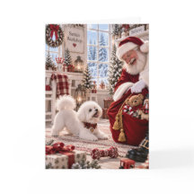 Bichon Frise Kerstkaart | Sinterklaas & Bichon