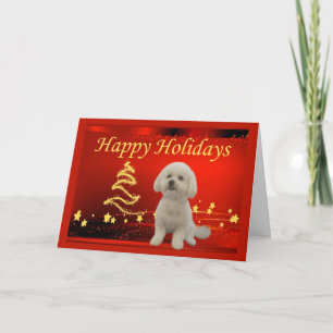 Bichon Frise-kerstkaartsterren Feestdagen Kaart
