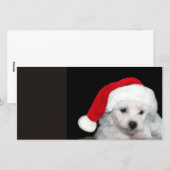 Bichon Frise Kerstmis Feestdagenkaart (Voorkant / Achterkant)