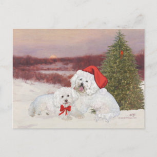 Bichon Frise Kerstmis Feestdagenkaart