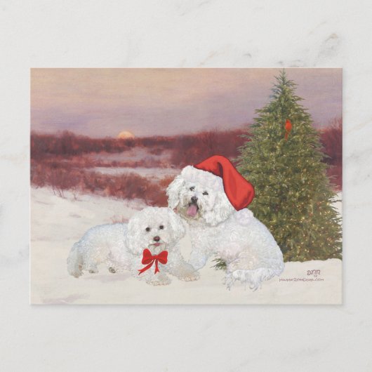 Bichon Frise Kerstmis Feestdagenkaart (Voorkant)