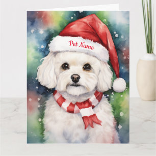 Bichon Frise Kerstmis gepersonaliseerd Kaart