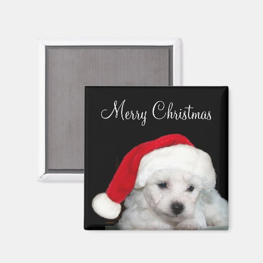 Bichon Frise Kerstmis Magneet (Voorkant / Achterkant)