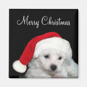 Bichon Frise Kerstmis Magneet