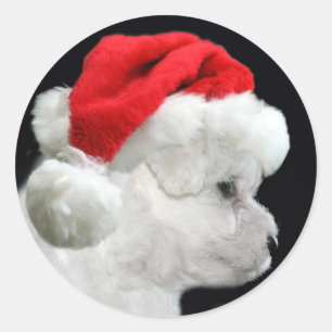 Bichon Frise Kerstmis Ronde Sticker