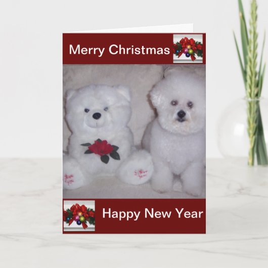 Bichon frise Kerstmiskaart Feestdagen Kaart (Voorkant)