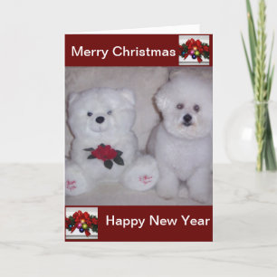 Bichon frise Kerstmiskaart Feestdagen Kaart