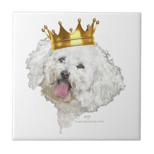 Bichon Frise Koning Tegeltje