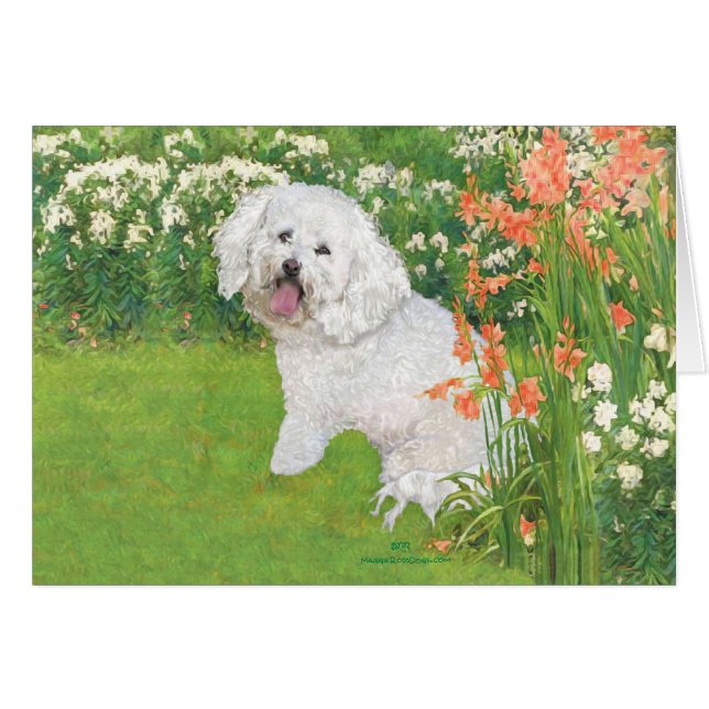 Bichon Frise Koraal Fantasie (Voorkant Horizontaal)