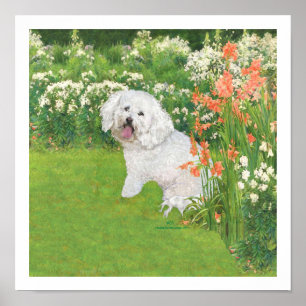 Bichon Frise Koraal Fantasie Poster