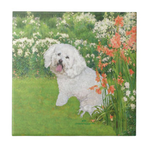 Bichon Frise Koraal Fantasie Tegeltje