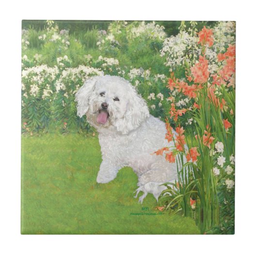 Bichon Frise Koraal Fantasie Tegeltje (Voorkant)
