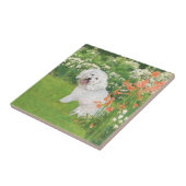 Bichon Frise Koraal Fantasie Tegeltje (Zijkant)