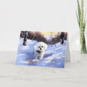 Bichon Frise Laat het sneeuwKerstmis Kaart (Voorkant)