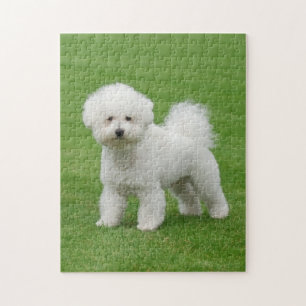 Bichon Frise Legpuzzel
