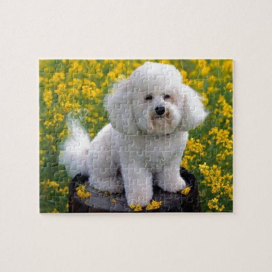 Bichon Frise Legpuzzel (Horizontaal)