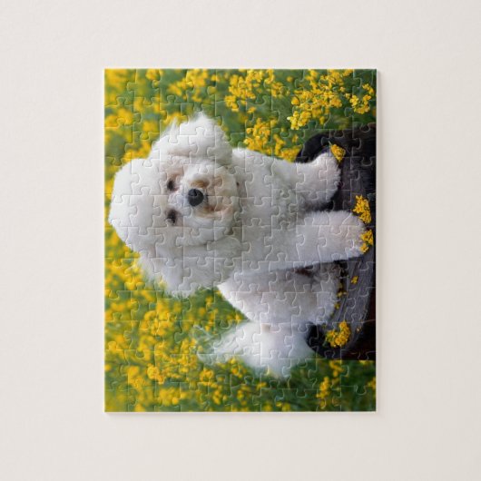 Bichon Frise Legpuzzel (Verticaal)