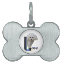 Bichon Frise Love