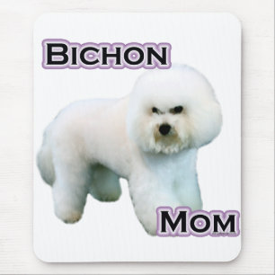 Bichon Frise Ma 4 Muismat