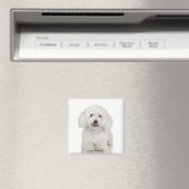 Bichon Frise Magnet (Insitu (Vaatwasser))