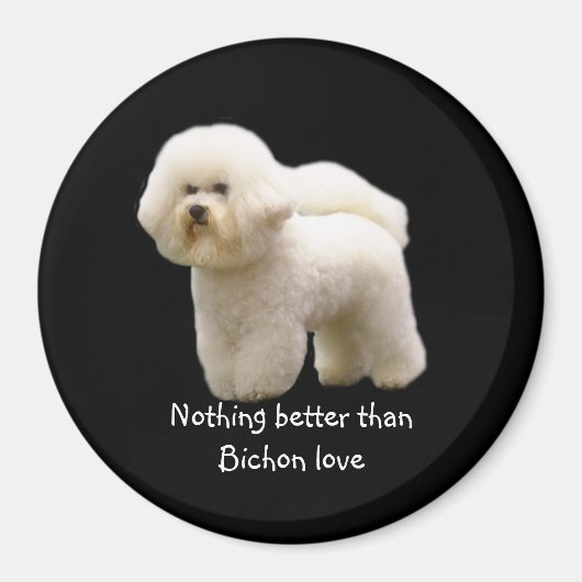 Bichon Frise Magnet (Voorkant)