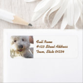 Bichon Frise Mailing Label (Insitu)