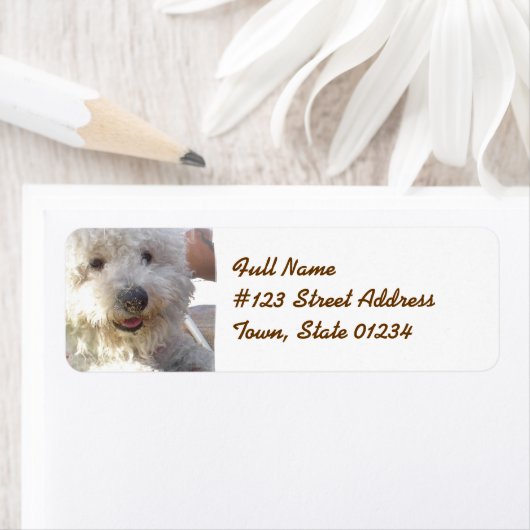 Bichon Frise Mailing Label (Insitu)
