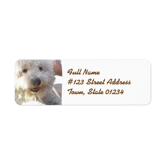 Bichon Frise Mailing Label (Voorkant)