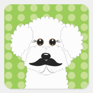 Bichon Frise met snor Vierkante Sticker