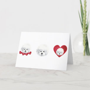 Bichon Frise _ mix _ Feestdagen Kaart