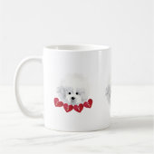 Bichon Frise _ mix _ Koffiemok (Links)