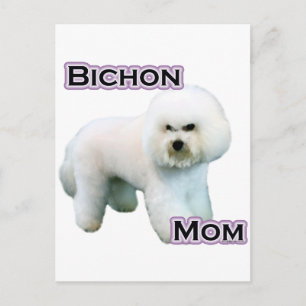 Bichon Frise Moeder 4 Briefkaart