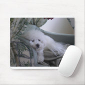 BICHON FRISE MUISMAT (Met muis)