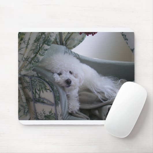 BICHON FRISE MUISMAT (Met muis)